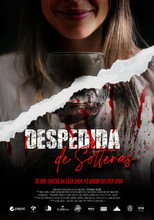 Poster de la película Despedida de solteras
