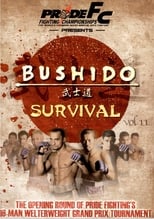 Poster de la película Pride Bushido 11