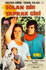 Poster de la película Solan Bir Yaprak Gibi