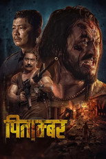 Poster de la película Pitambar