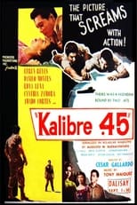 Poster de la película Kalibre .45