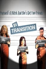 Poster de la película In Transition