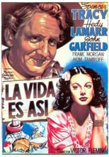 Poster de la película La vida es así