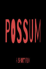 Poster de la película Possum