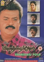 Poster de la película Vaanathaippola