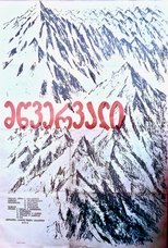 Poster de la película The Summit
