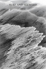 Poster de la película Surf and Seaweed