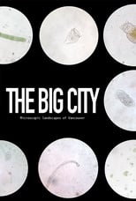 Poster de la película The Big City