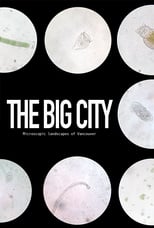 Poster de la película The Big City