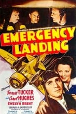 Poster de la película Emergency Landing