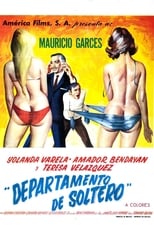 Poster de la película Departamento De Soltero