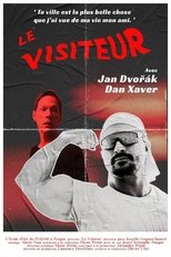 Poster de la película The Visitor