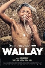 Poster de la película Wallay