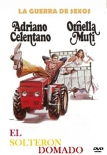 Poster de la película El solterón domado