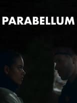 Poster de la película Parabellum