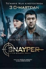 Poster de la película Sniper