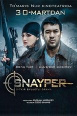 Poster de la película Sniper