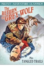 Poster de la película The Return of Grey Wolf