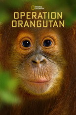 Poster de la película Operation Orangutan