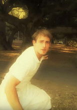 Poster de la película Parkour Vs. Killer Bee