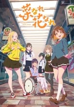 Poster de la serie 菜なれ花なれ