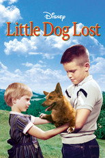 Poster de la película Little Dog Lost