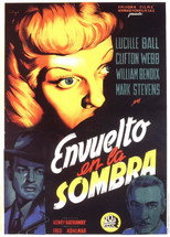 Poster de la película Envuelto en la sombra