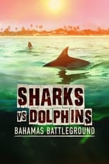 Poster de la película Sharks vs. Dolphins: Bahamas Battleground
