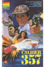 Poster de la película Calibre .357