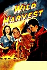 Poster de la película Wild Harvest