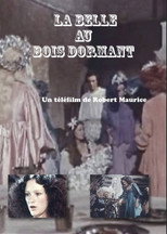 Poster de la película La Belle au bois dormant