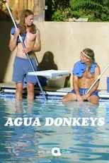 Poster de la serie Agua Donkeys