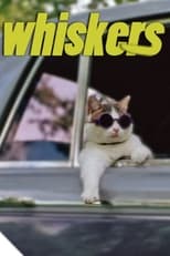 Poster de la película Whiskers