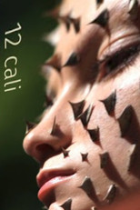 Poster de la película 12 cali