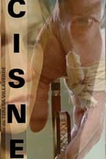 Poster de la película Cisne