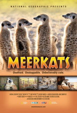 Poster de la película Meerkats 3D