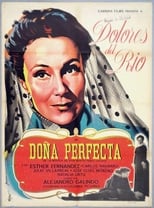 Poster de la película Doña Perfecta