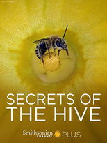 Poster de la película Secrets of the Hive
