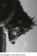 Poster de la película Carea careando. De pastores, perros y rebaños