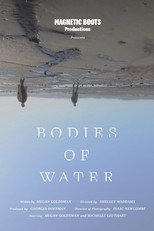 Poster de la película Bodies of Water