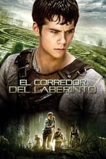 Poster de la película El corredor del laberinto