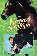 Poster de la película The Rogue Stallion