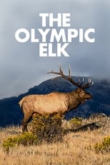 Poster de la película The Olympic Elk