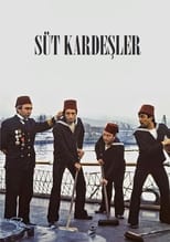 Poster de la película The Foster Brothers