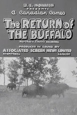 Poster de la película Return of the Buffalo