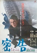 Poster de la película Secret Information