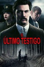 Poster de la película El último testigo