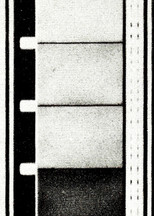 Poster de la película Os Sonacirema