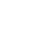 Logo Black Widow