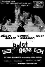 Poster de la película Pulot Gata